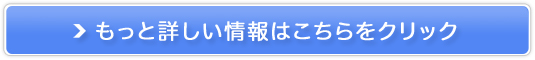 60ŉpꂪbIÉycpꋳނV{Englishz̔TCg